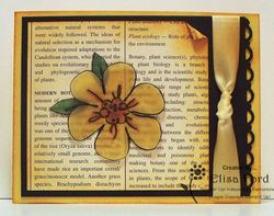 Vellum flower fancy