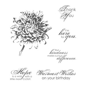 blooming with kindness stamp set